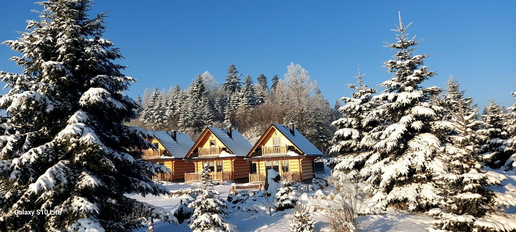 Zielone Skalki Ferienhaus Falsztyn